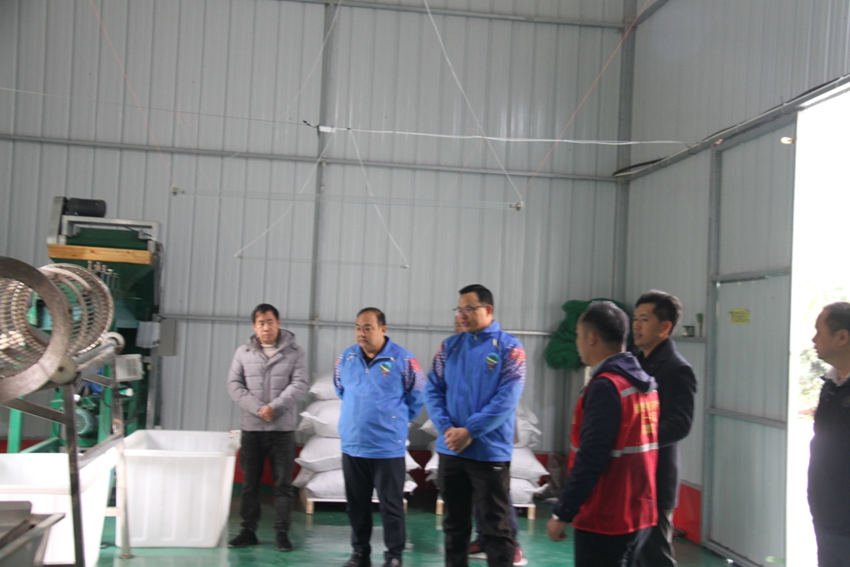 图为莫荣军等参观农产品加工车间.png