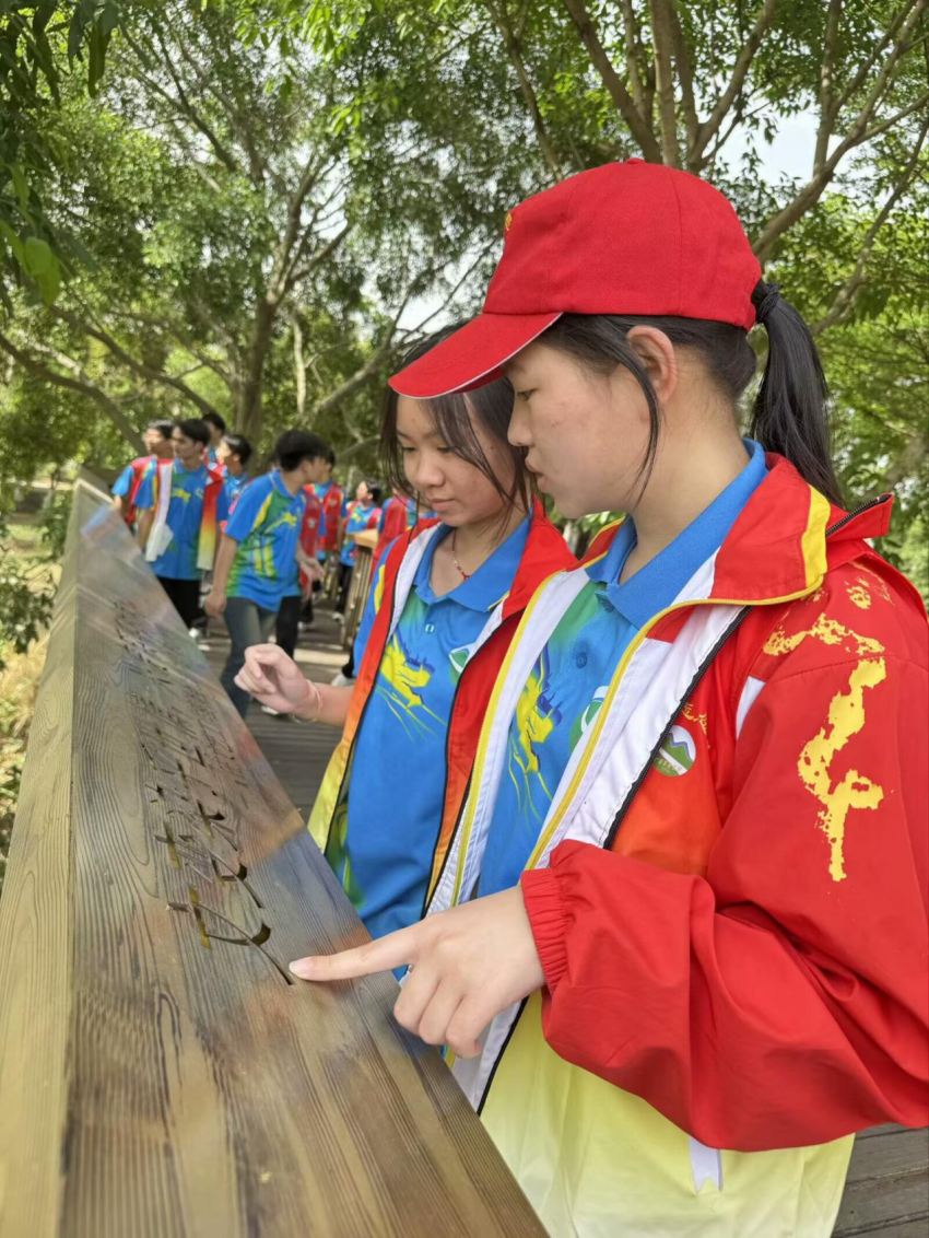 图片 9.png